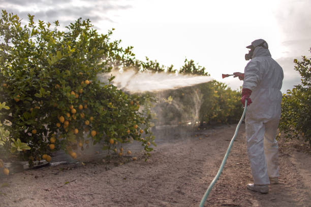 Best Pest Prevention Services  in Statesville, NC
